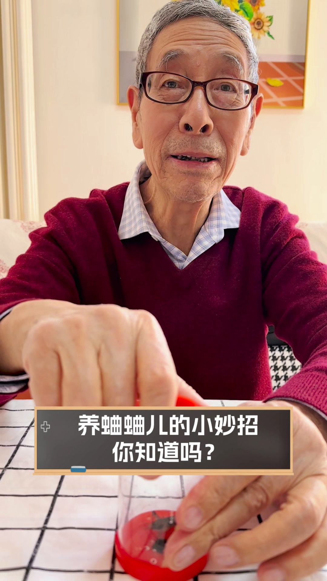 蛐蛐怎么养